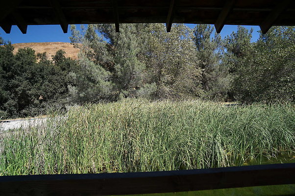 GOR.Lake.Cabin.Bridge.50