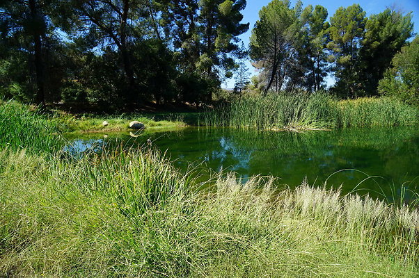 GOR.Lake.Cabin.Bridge.28