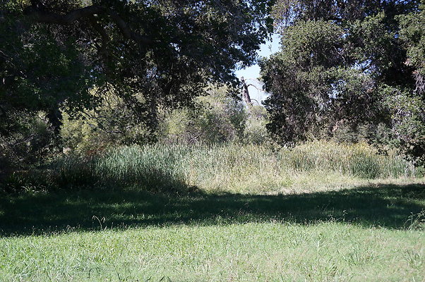 GOR.Lake.Cabin.Bridge.15