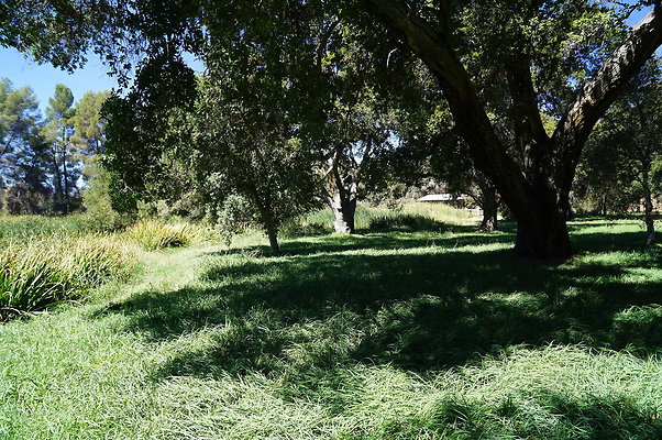 GOR.Lake.Cabin.Bridge.34
