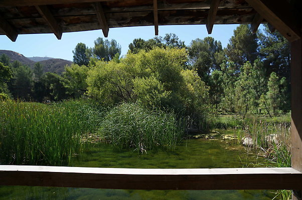 GOR.Lake.Cabin.Bridge.47