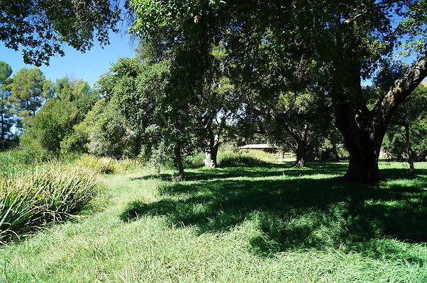 GOR.Lake.Cabin.Bridge.21