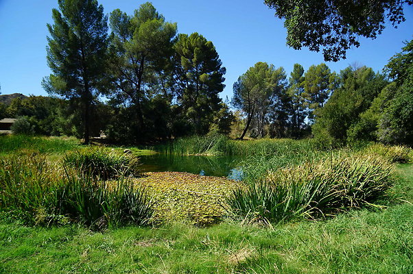 GOR.Lake.Cabin.Bridge.20