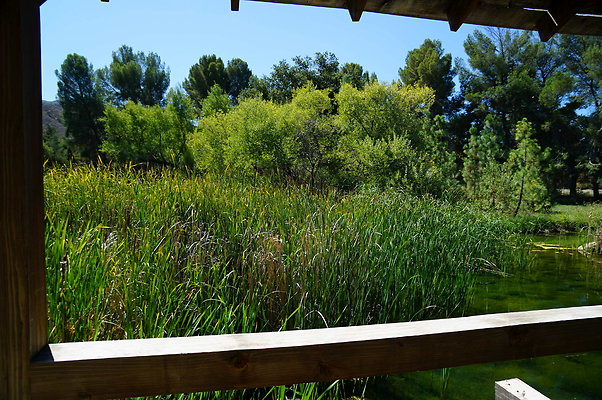 GOR.Lake.Cabin.Bridge.57