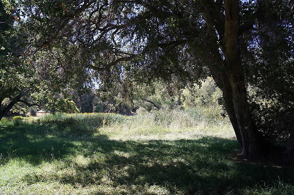 GOR.Lake.Cabin.Bridge.37