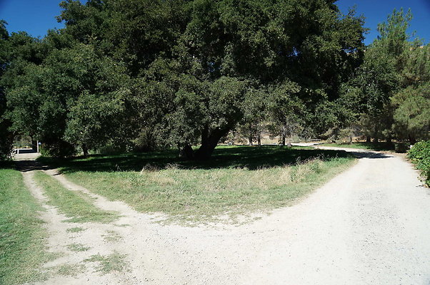 GOR.Lake.Cabin.Bridge.04