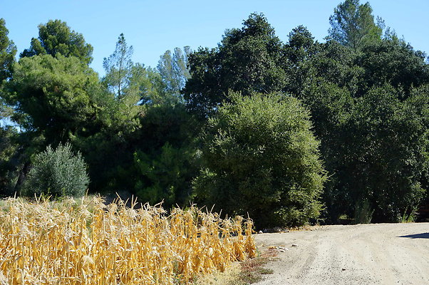 GOR.Placerita.Cyn.Barn.47