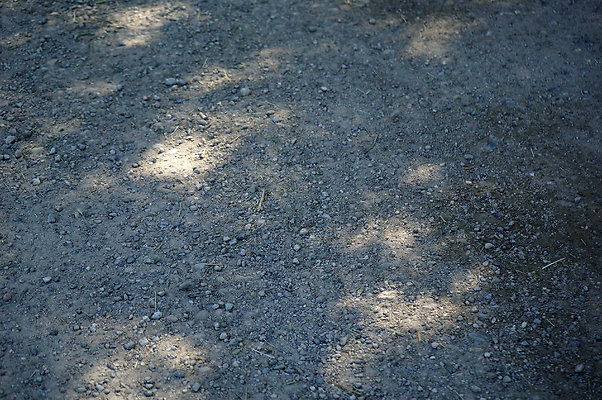 GOR.Placerita.Cyn.Barn.10