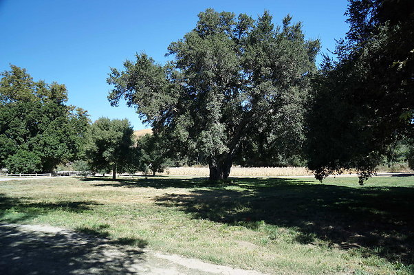 GOR.Placerita.Cyn.Barn.18