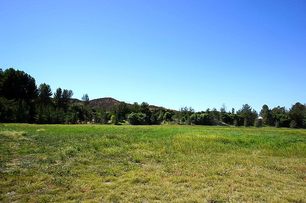 Gor.West.Meadow.WIDE.04