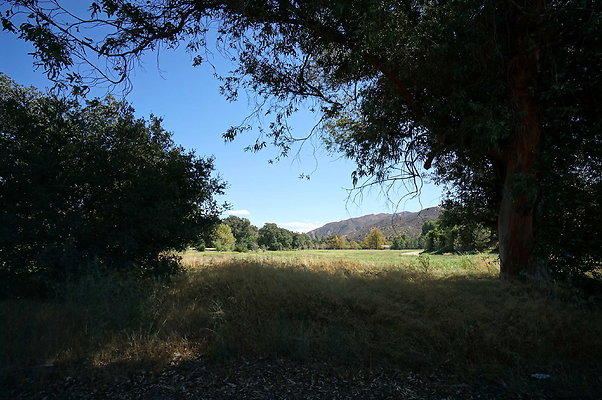 Gor.West.Meadow.WIDE.18