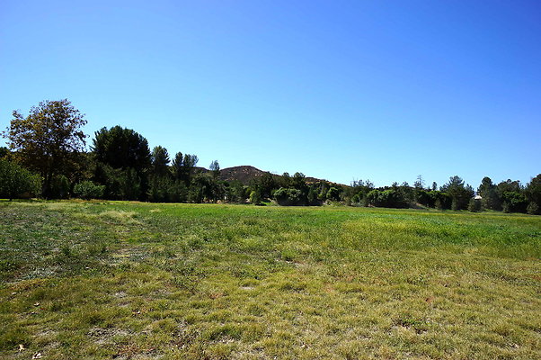 Gor.West.Meadow.WIDE.02