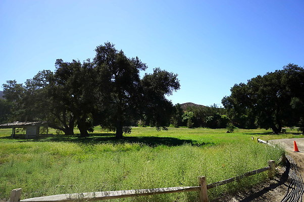 Gor.West.Meadow.WIDE.14