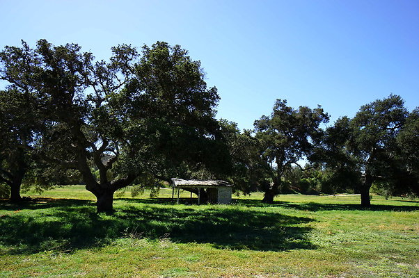 Gor.West.Meadow.WIDE.13