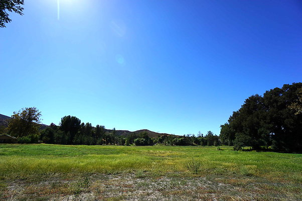 Gor.West.Meadow.WIDE.08