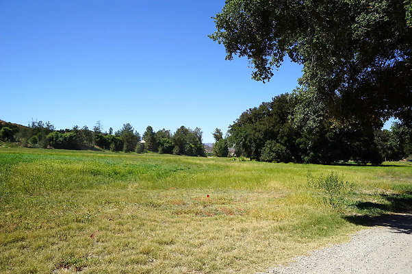 Gor.West.Meadow.WIDE.05