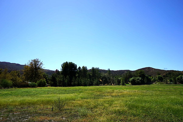 Gor.West.Meadow.WIDE.11