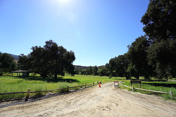 Gor.West.Meadow.WIDE.15