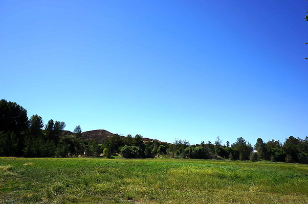 Gor.West.Meadow.WIDE.03