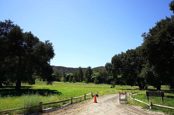 Gor.West.Meadow.WIDE.17