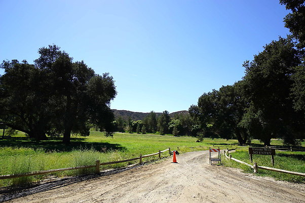 Gor.West.Meadow.WIDE.16