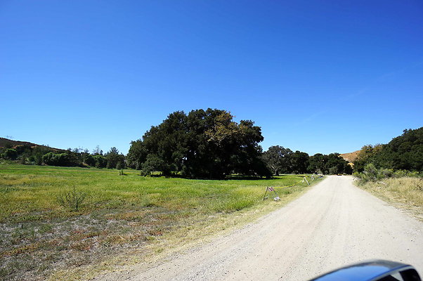 Gor.West.Meadow.WIDE.09