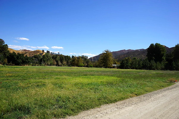 Gor.West.Meadow.WIDE.27