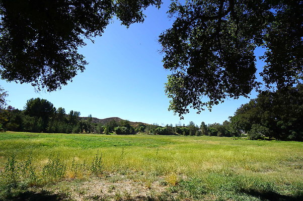 Gor.West.Meadow.WIDE.07