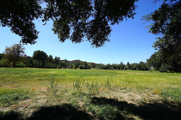 Gor.West.Meadow.WIDE.06