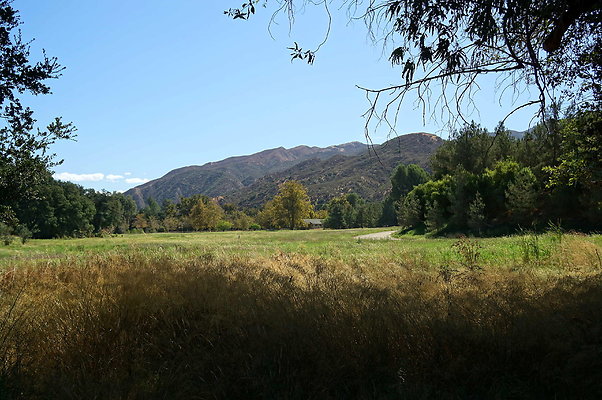 GOR.West Meadow.38