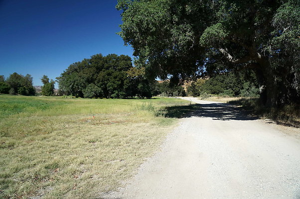 GOR.West Meadow.15