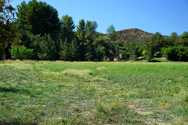 GOR.West Meadow.16