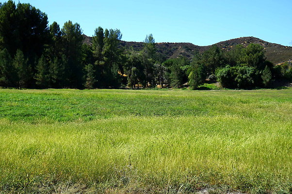 GOR.West Meadow.26