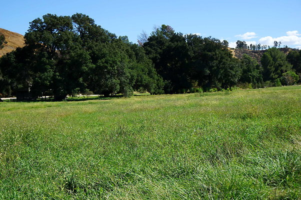 GOR.West Meadow.49