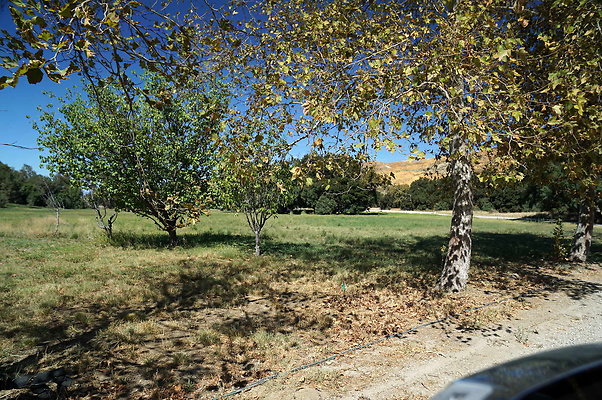 GOR.West Meadow.69