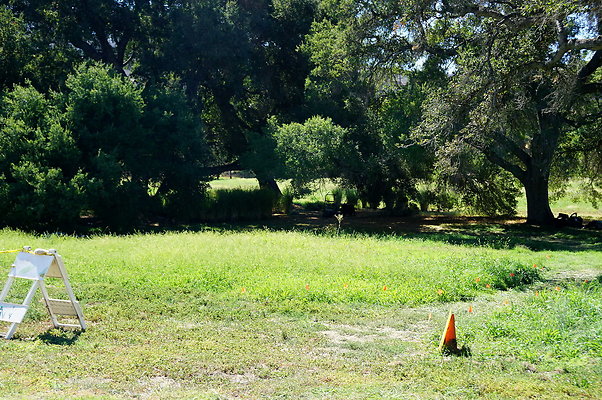 GOR.West Meadow.34