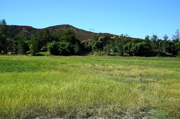 GOR.West Meadow.27
