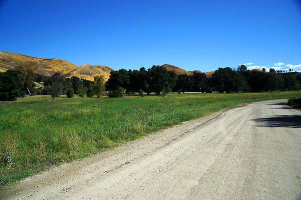 GOR.West Meadow.41