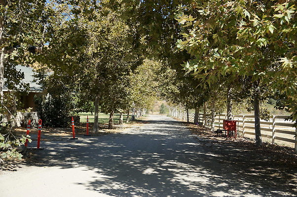 GOR.West Meadow.62