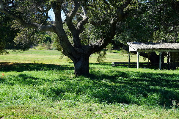 GOR.West Meadow.35