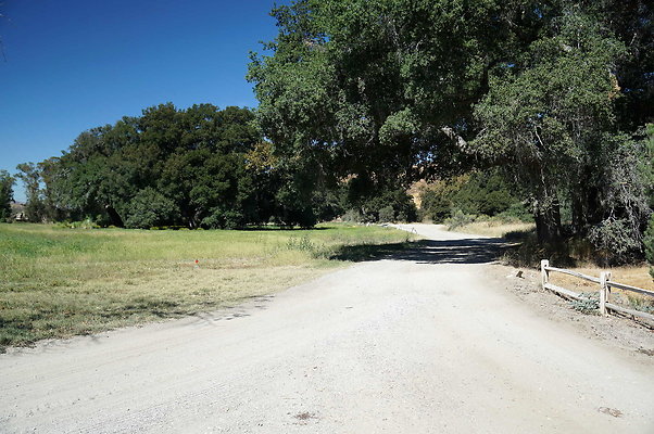 GOR.West Meadow.07