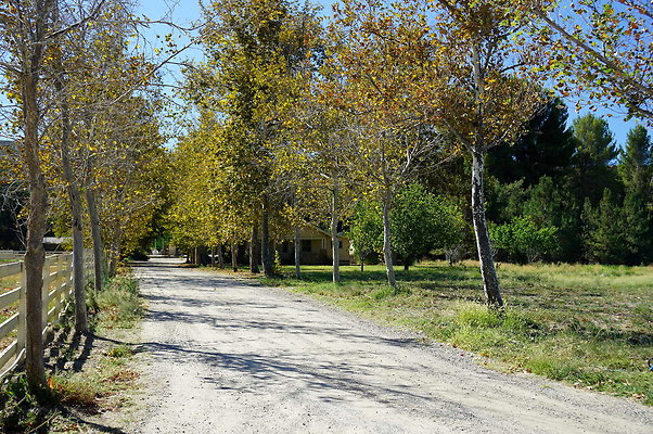GOR.West Meadow.02