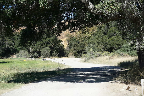 GOR.West Meadow.09