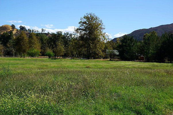 GOR.West Meadow.60