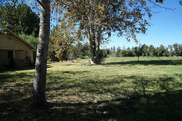 GOR.West Meadow.65
