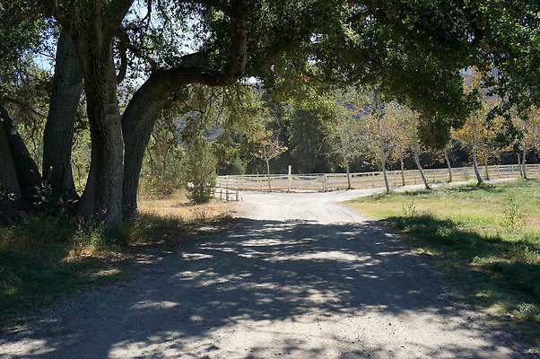 GOR.West Meadow.20