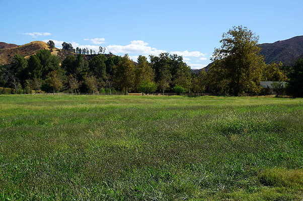 GOR.West Meadow.55