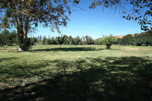 GOR.West Meadow.66
