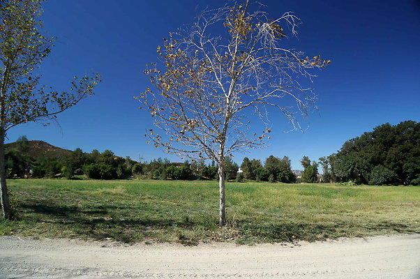 GOR.West Meadow.05