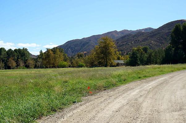 GOR.West Meadow.51